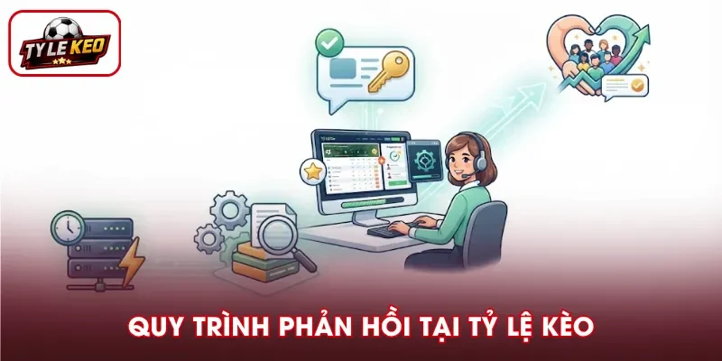 Các bước phản hồi và giải quyết vấn đề từ đội ngũ Tỷ Lệ Kèo