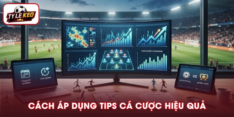 Cách áp dụng Tips cá cược hiệu quả tại Tỷ Lệ Kèo