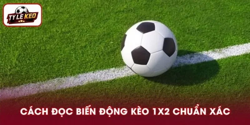 Cách Đọc Biến Động Kèo 1X2 Hiệu Quả Và Chuẩn Xác