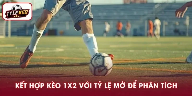 Đừng quên kết hợp tỷ lệ mở và odds để phân tích dữ liệu