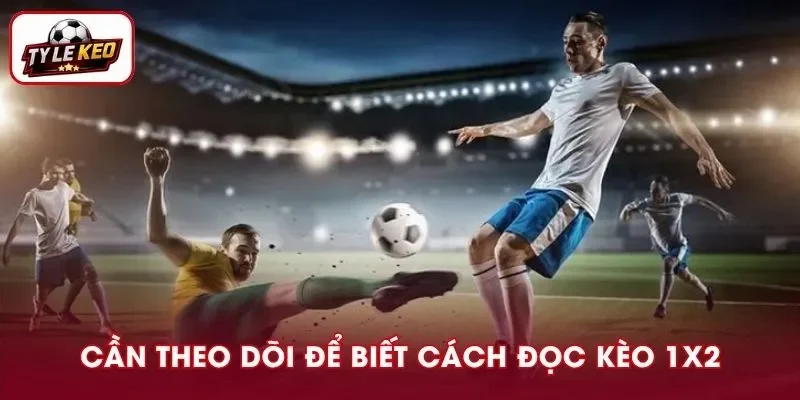 Bạn nên theo dõi tỷ lệ kèo nhà cái để đọc biến động kèo chuẩn hơn