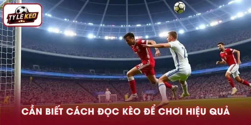 Nắm vững cách đọc kèo đảo chiều giúp bạn sớm thắng đậm