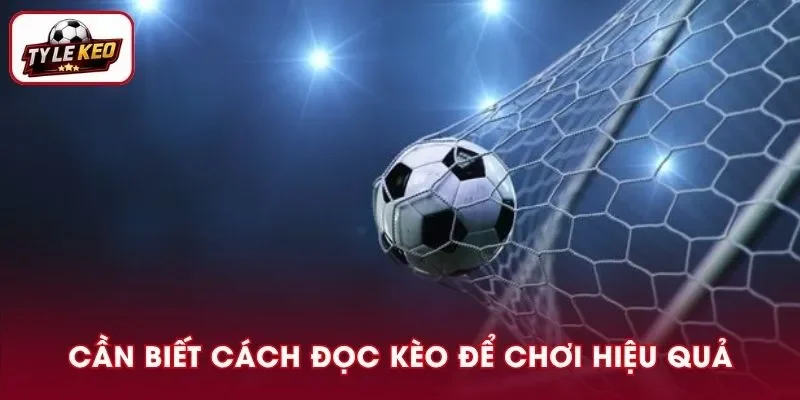 Vững trong cách đọc kèo mở cửa là yếu tố quyết định thắng lợi của người tham gia
