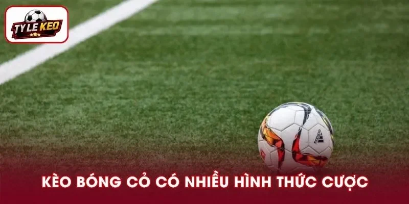 Nhận diện chính xác hình thức cược giúp bạn sớm có nhiều cơ hội thắng