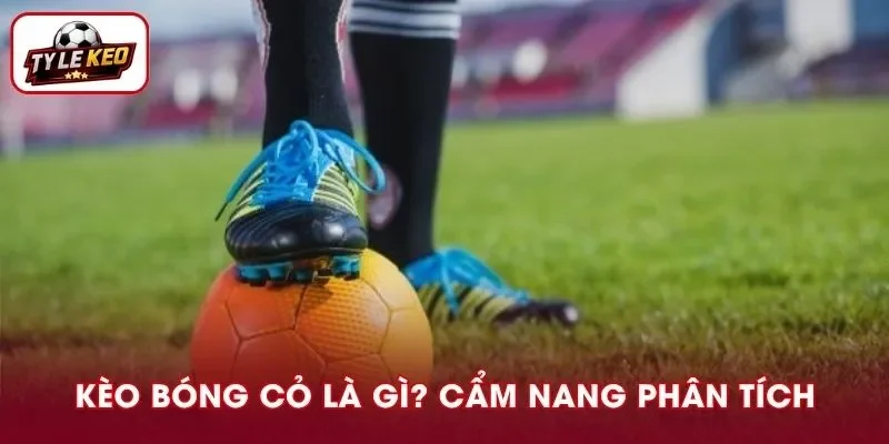 Kèo Bóng Cỏ Là Gì I Cẩm Nang Phân Tích Trận Đấu Nên Xem