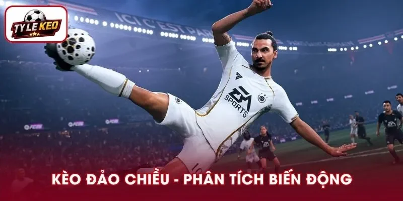 Kèo Đảo Chiều Và Phương Pháp Phân Tích Biến Động Tỷ Lệ Chuẩn Xác