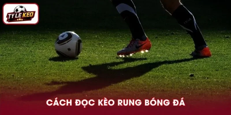 Nắm vững cách đọc kèo rung bóng đá giúp ta sớm thành chuyên gia cá cược