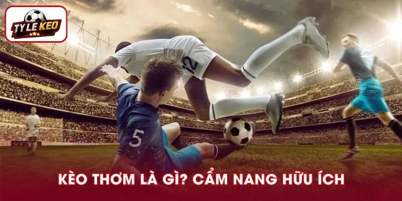 Kèo Thơm Là Gì Và Cẩm Nang Nhận Diện Cơ Hội Chiến Thắng