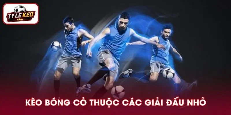 Khá nhiều người thêm hứng thú xuống vốn sau khi hiểu rõ bản chất kèo bóng cỏ là gì