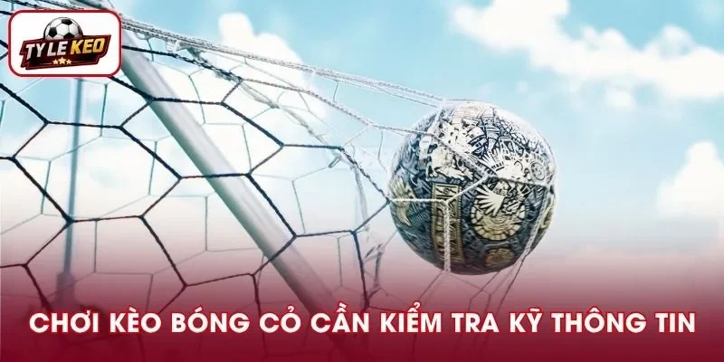 Bạn nên cẩn trọng kiểm tra các thông tin trận đấu trước khi bỏ vốn