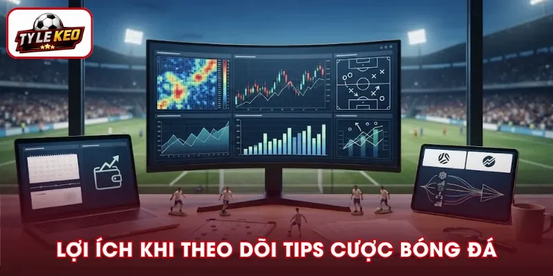 Lợi ích từ việc theo dõi tips cá cược bóng đá trên website