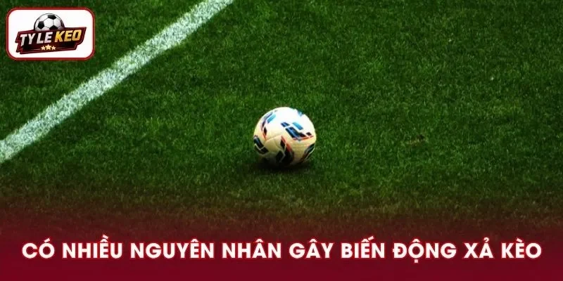 Nên xác định rõ nguyên nhân gây nên những biến động xả kèo là gì