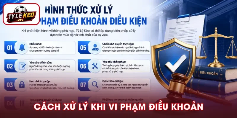 Quy định xử lý trường hợp vi phạm điều khoản sử dụng