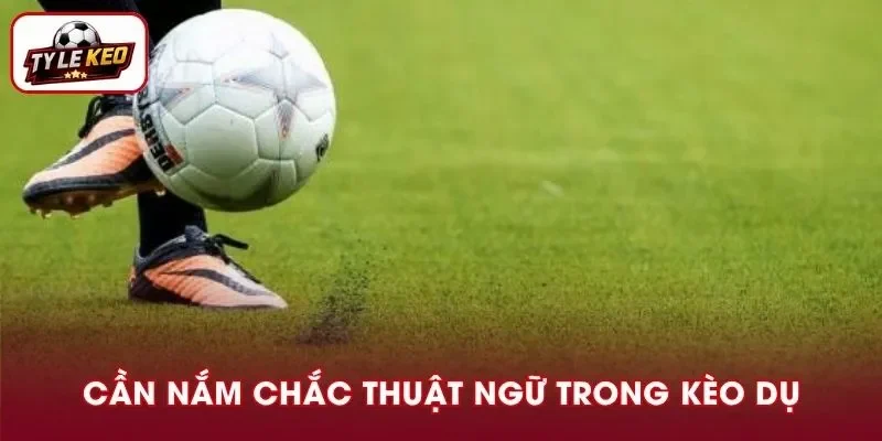 Đừng quên nắm rõ các thuật ngữ trên bảng kèo
