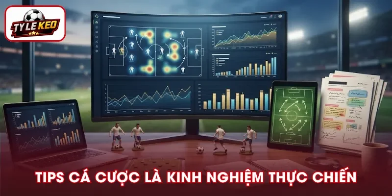 Tips cá cược là dữ liệu, nhận định và kinh nghiệm thực chiến
