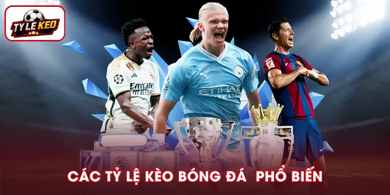 Các dạng tỷ lệ cược phổ biến trong cá độ bóng đá