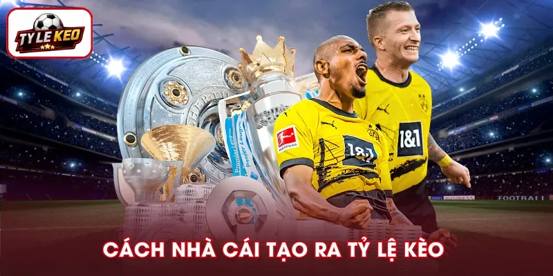 Tìm hiểu cách nhà cái xác định tỷ lệ kèo bóng đá