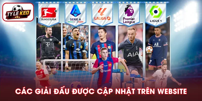 Danh sách giải đấu được cập nhật đáp ứng nhu cầu người dùng
