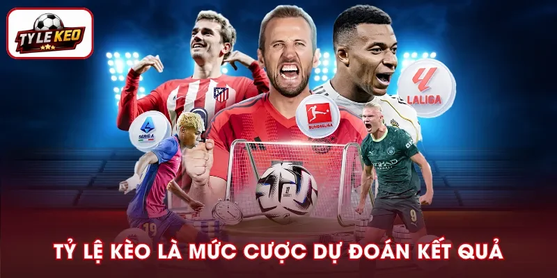 Tỷ lệ kèo là hệ thống tỷ lệ cược dùng để dự đoán kết quả