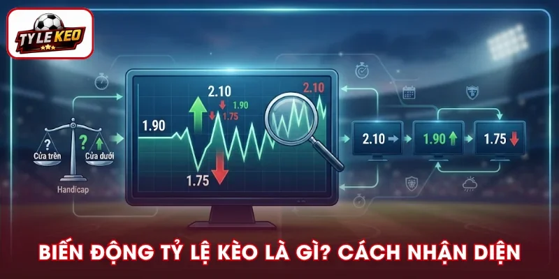Biến Động Tỷ Lệ Kèo Là Gì? Hé Lộ Cách Nhận Biết Chuẩn