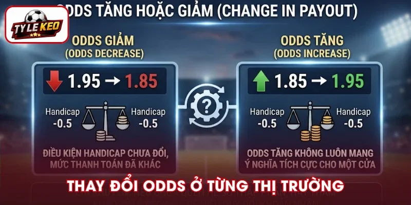 Mức Odds biến động theo thị trường