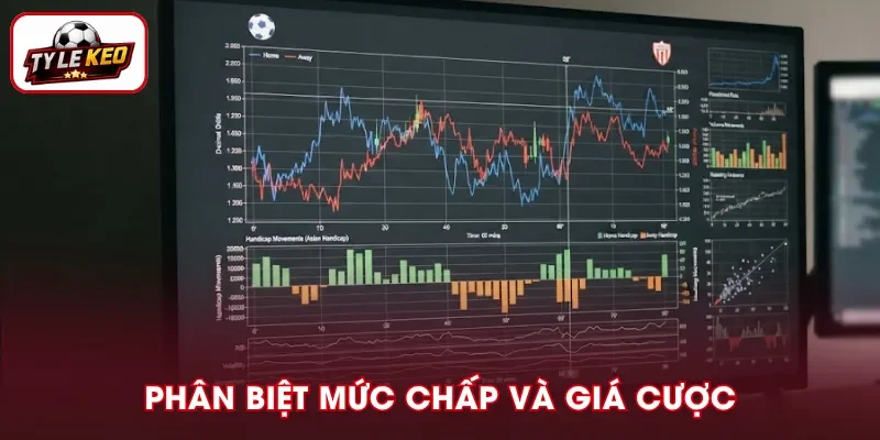 Nhận biết sự khác nhau giữa mức chấp và giá cược