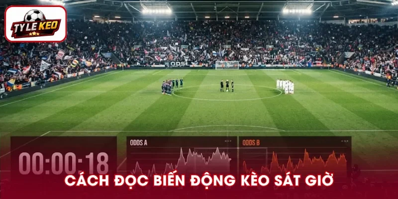 Cách Đọc Biến Động Kèo Sát Giờ Bóng Lăn Hiệu Quả