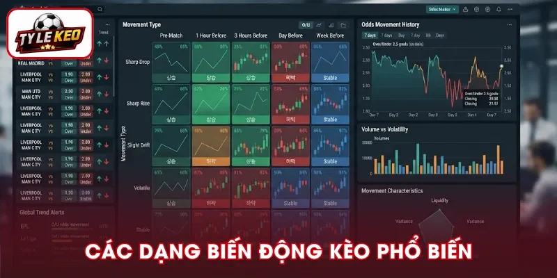 Các dạng thay đổi phổ biến và cách đánh giá