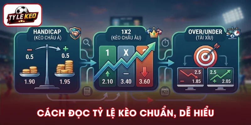 Cách Đọc Tỷ Lệ Kèo Chuẩn Xác, Dễ Hiểu Cho Người Mới