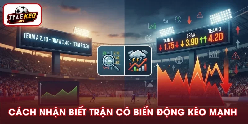 Cách Nhận Biết Trận Có Biến Động Kèo Mạnh Hiệu Quả 2026
