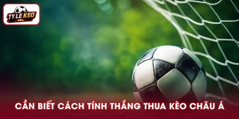 Nên nắm rõ cách tính thắng thua kèo châu Á để tránh mất vốn vô nghĩa