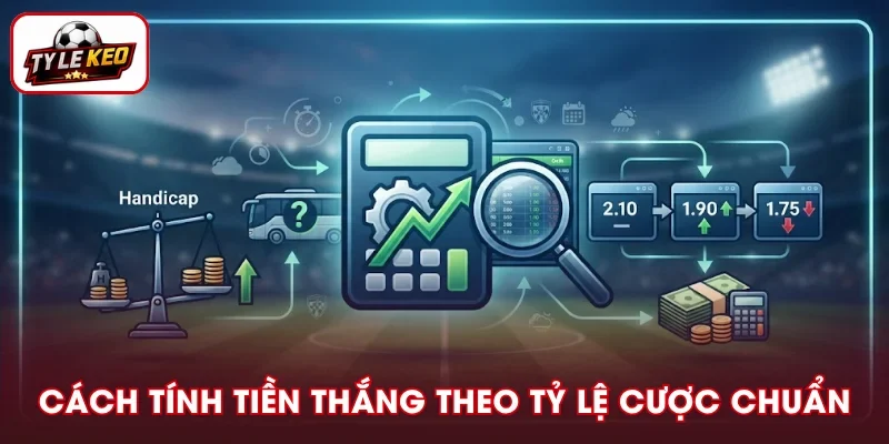Cách Tính Tiền Thắng Theo Tỷ Lệ Cược Nhanh Và Chuẩn Xác
