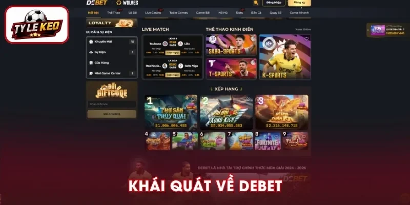 Tổng quan về thương hiệu DEBET