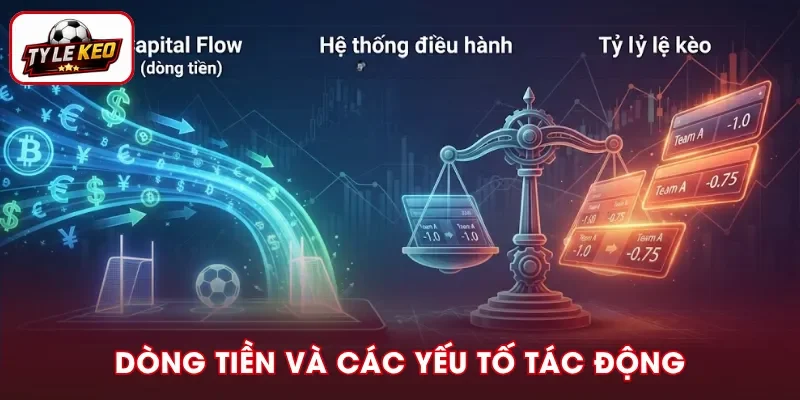 Dòng tiền ảnh hưởng tỷ lệ kèo ra sao và yếu tố liên quan