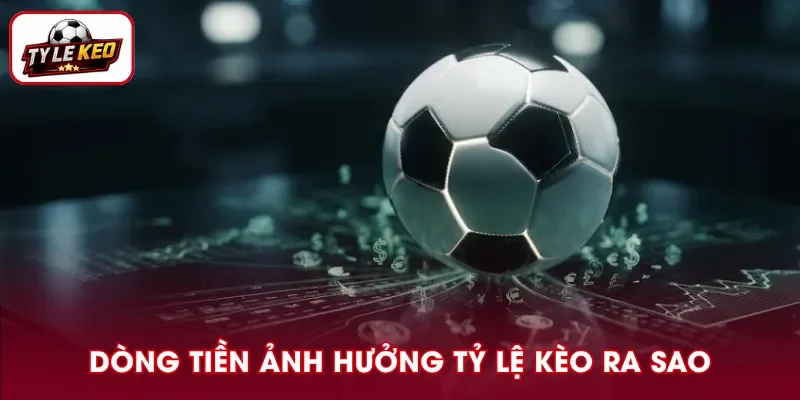 Dòng Tiền ảnh Hưởng Tỷ Lệ Kèo Ra Sao - Góc Nhìn Chuyên Sâu