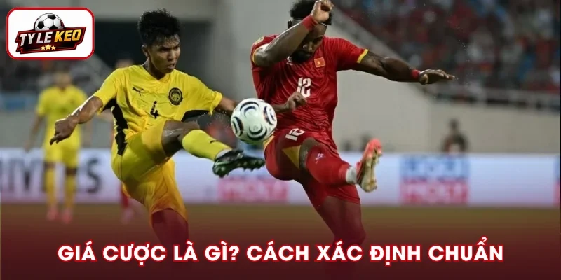 Giá Cược Là Gì? Cách Xác Định Đúng Chuẩn, Dễ Hiểu