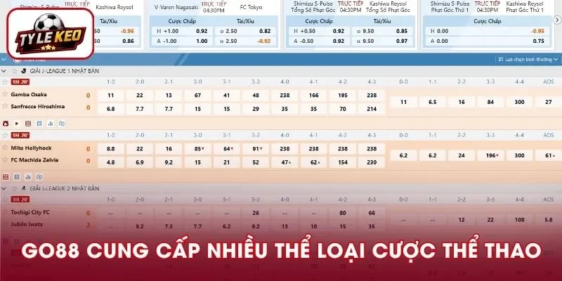 Nhiều thể loại cược chiều lòng mọi đối tượng khi đến Go88