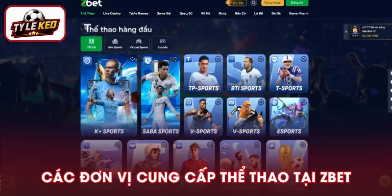 Hệ thống đối tác thể thao của ZBET