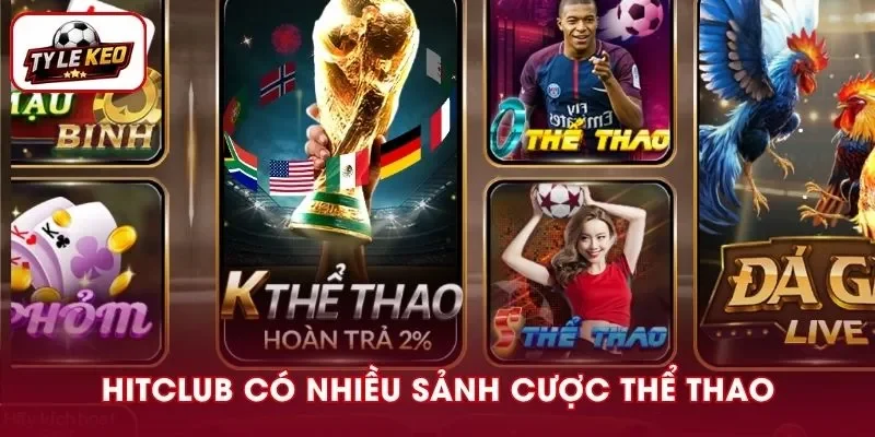 Cổng game cung cấp nhiều sảnh cược thể thao