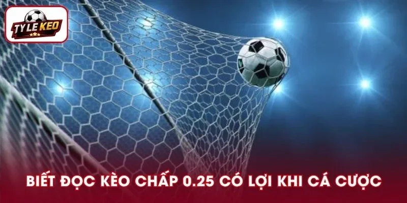 Nắm rõ cách đọc kèo chấp 0.25 rất có lợi khi cá cược