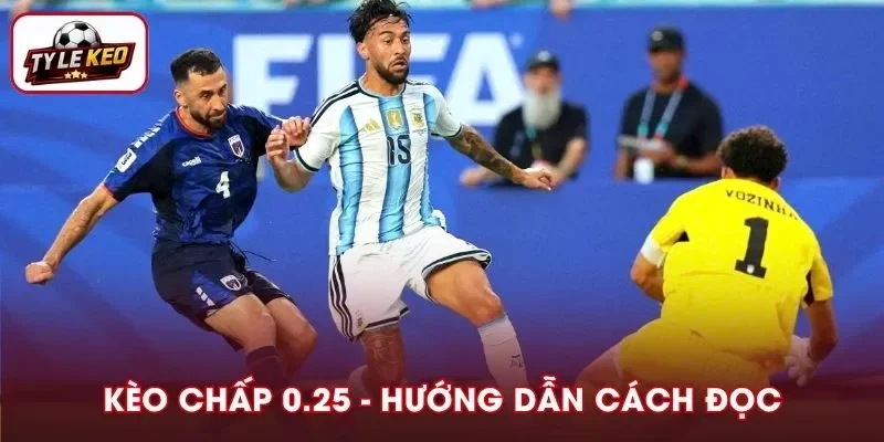 Kèo Chấp 0.25 Là Gì? Hướng Dẫn Cách Đọc Và Bảng Thống Kê Chi Tiết