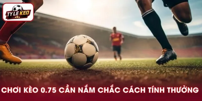 Nắm rõ cách tính thưởng của tỷ lệ kèo nhà cái này sẽ không làm bạn mắc sai lầm