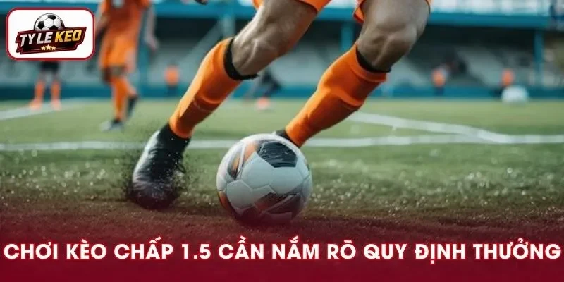 Chơi cá cược bóng đá cần nắm rõ quy định tính thưởng của nhà cái