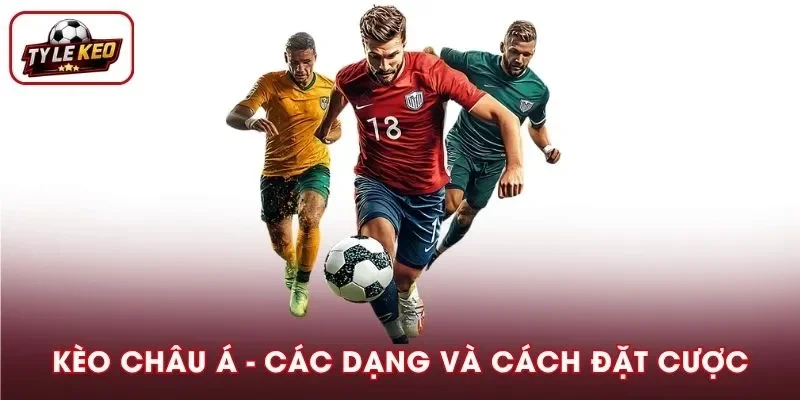 Kèo Châu Á Là Gì? Các Dạng Và Cách Đặt Nên Nắm Rõ