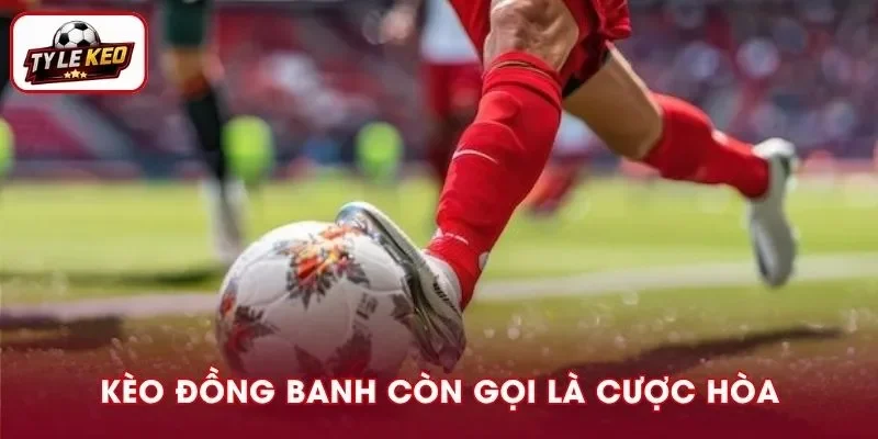Kèo đồng banh còn được gọi là cược hòa không trái
