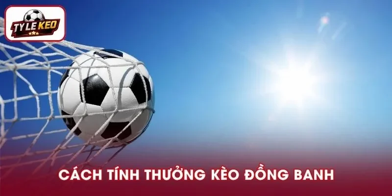 Bạn cũng nên tìm hiểu xem tỷ lệ kèo nhà cái nào cạnh tranh và ưu tiên lựa chọn
