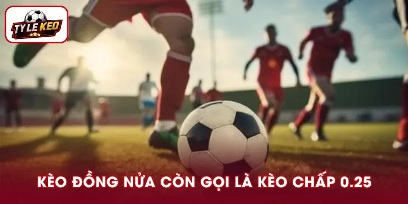 Kèo đồng nửa khá dễ hiểu, có tỷ lệ ăn đậm
