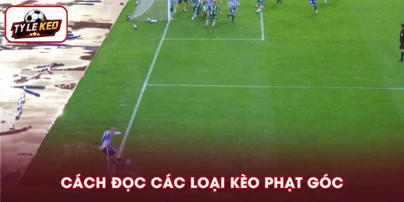 Hướng dẫn đọc các loại Corners Betting