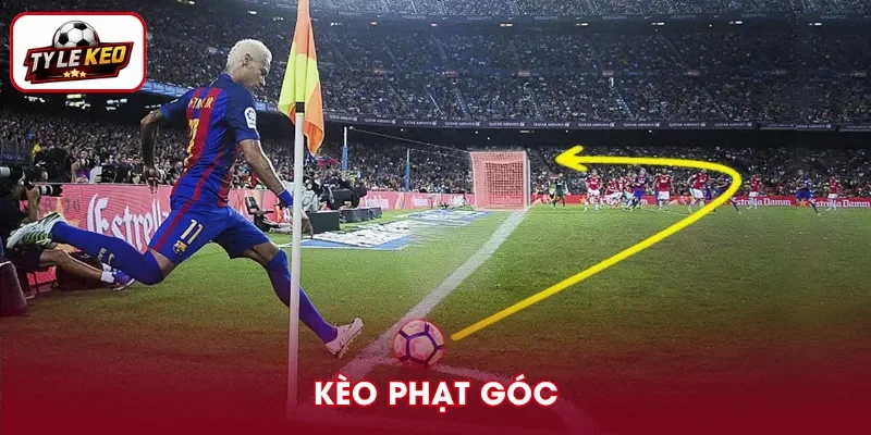 Kèo Phạt Góc Là Gì? Cách Đọc Dễ Hiểu Cho Người Mới