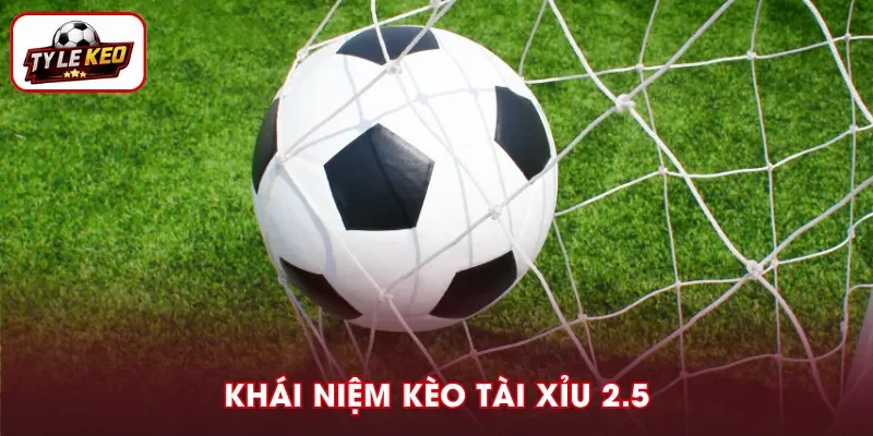 Kèo Tài Xỉu 2.5 là mức dự đoán tổng số pha lập công